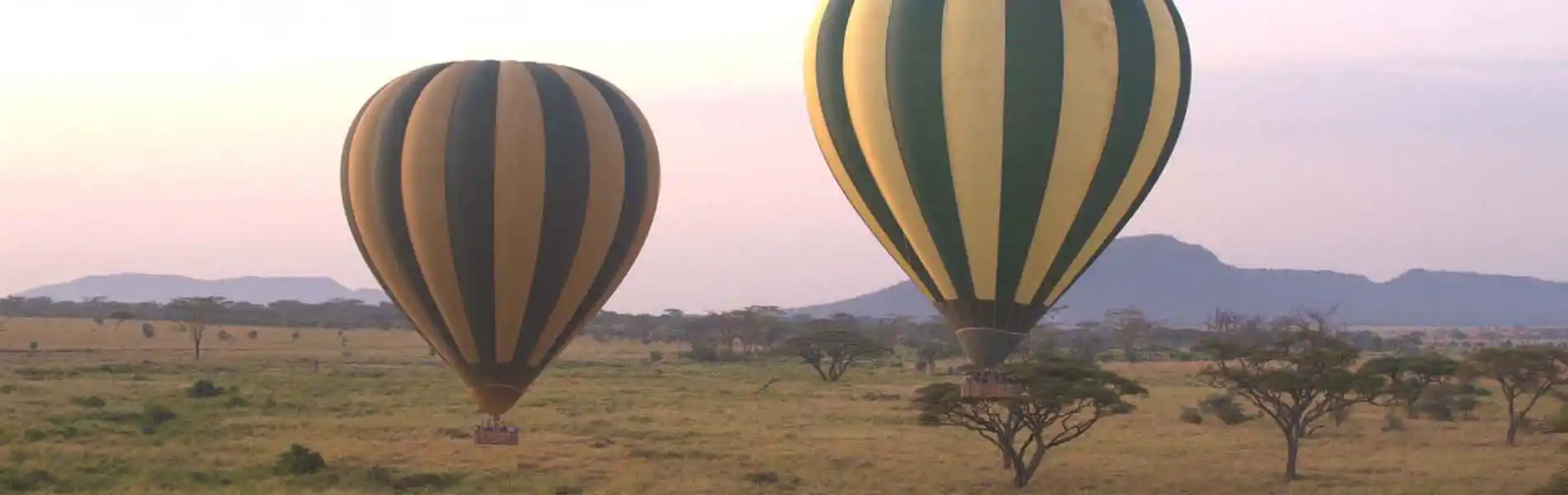 Hot air ballons in the Serengeti