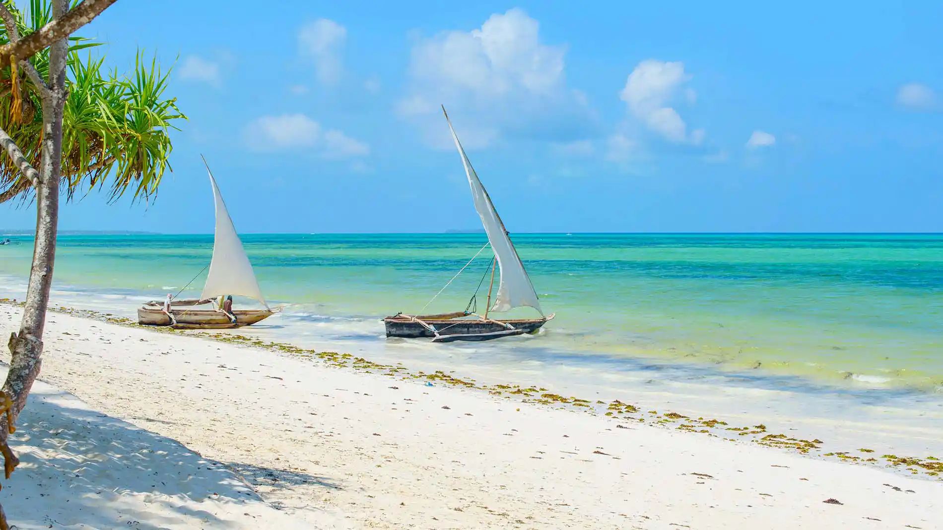 Zanzibar Beach Tanzania